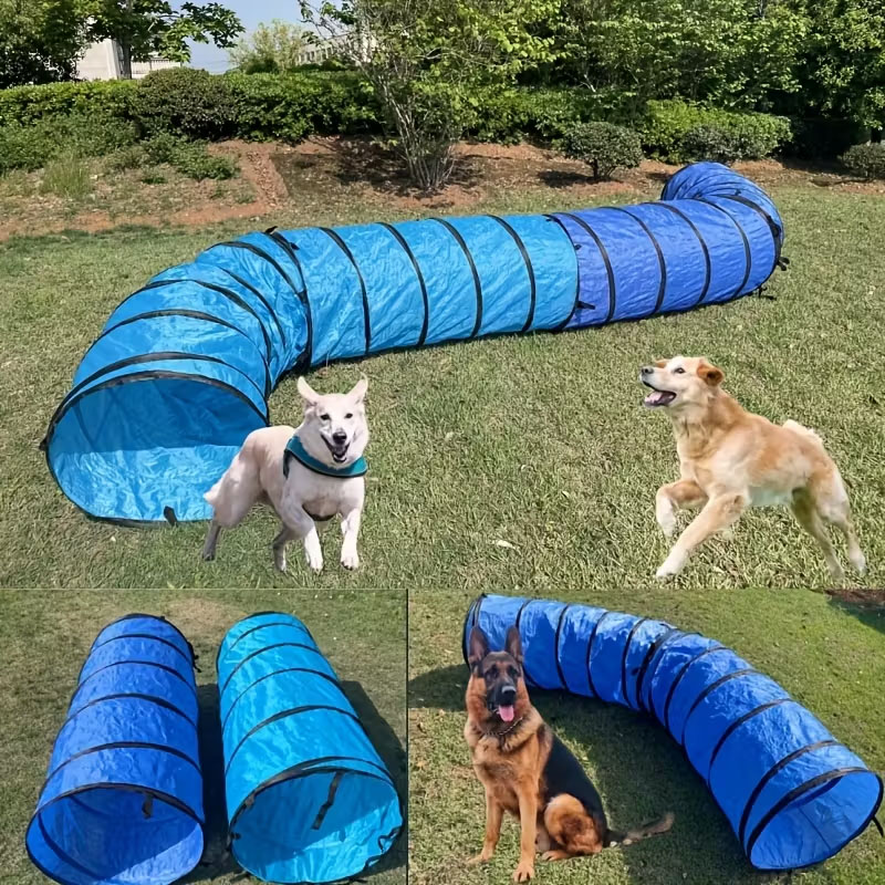 Sports Equipment Warehouse - Evcil hayvanlar için katlanabilir tünel, köpekler